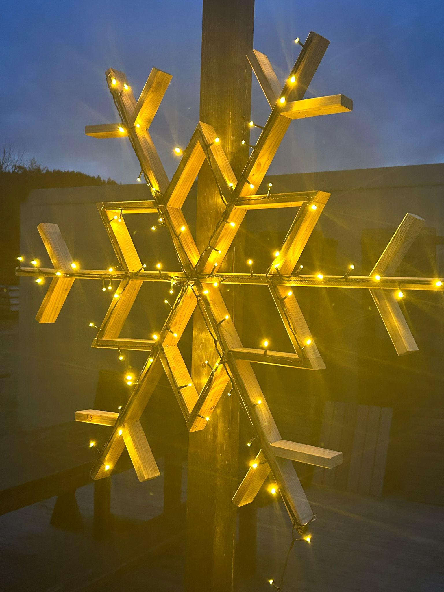 Sterne und Bäume – Bild 9